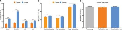 Transcriptome and methylome dynamics in the gills of large yellow croaker (Larimichthys crocea) during low-salinity adaption